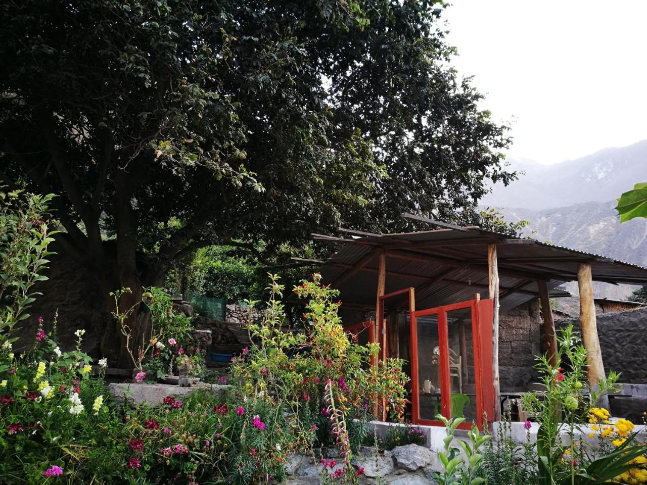 卡瓦纳科德Casa De Virginia别墅 外观 照片
